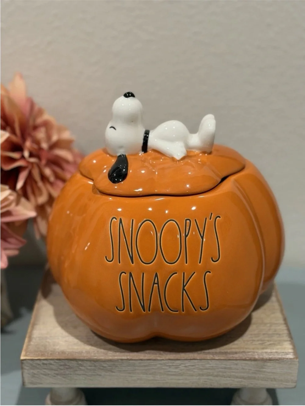 Rae Dunn x Peanuts Snoopy's Snacks Halloween Pumpkin Cookie Jar. Pet Treats